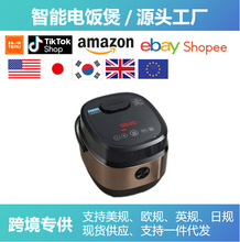 �羳110V�������Ҷ๦�ܼ����������늟��������