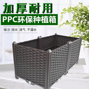 ��픑����̨�Nֲ���ͥ¶̨�߲˷N���軨�ۻ���ˈ@��������