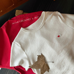 �r�� Ī�������ވA�I�H�w���m�����������T��Ů2026����41637