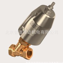 德国GSR气动阀 气动青铜角座阀GSR角座阀 2000D气动阀门