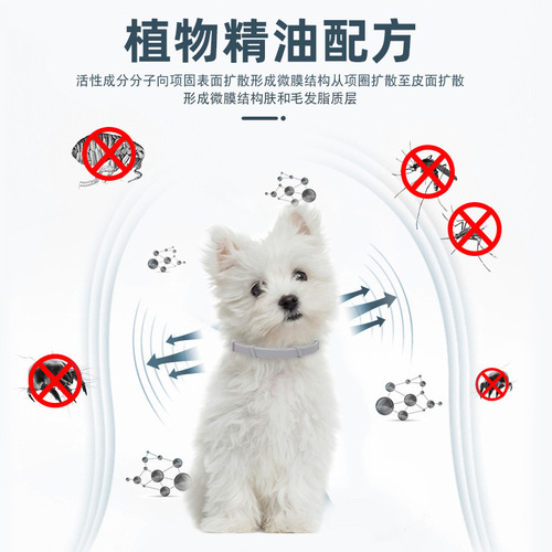 Cat collar, dog collar, anti-flea collar, flea collar for cats, puppies, pet external insect repellent collar, flea collar