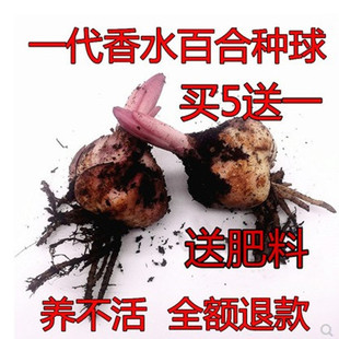 ��ˮ�ٺϷN�����ѿ�໨���ļ������ذ��M�ڰ�Ұ�����ްٺ�����