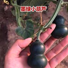 ī�GС���J�N�������J�����������J�N�����恆���N�������̨