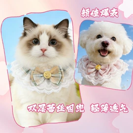 宠物围巾;狗狗玩具;宠物挂牌