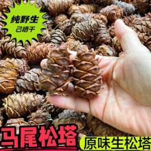 RβɹħZʳRβԭζС500˸͸