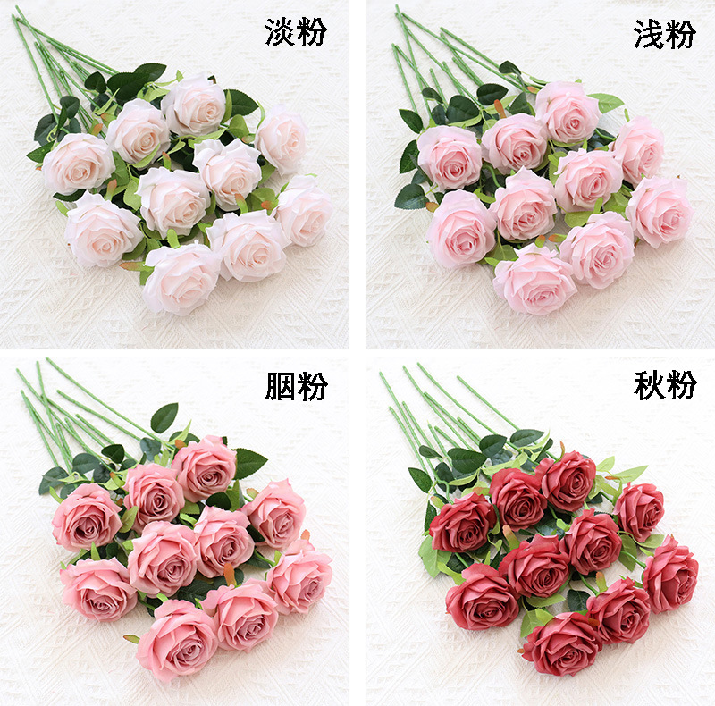 单支卡罗拉玫瑰 (2).jpg