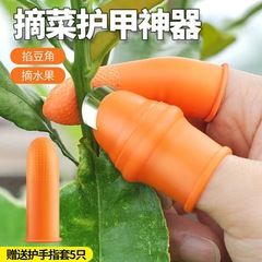 サンショウを摘んで野菜の指を取って指を保護します。