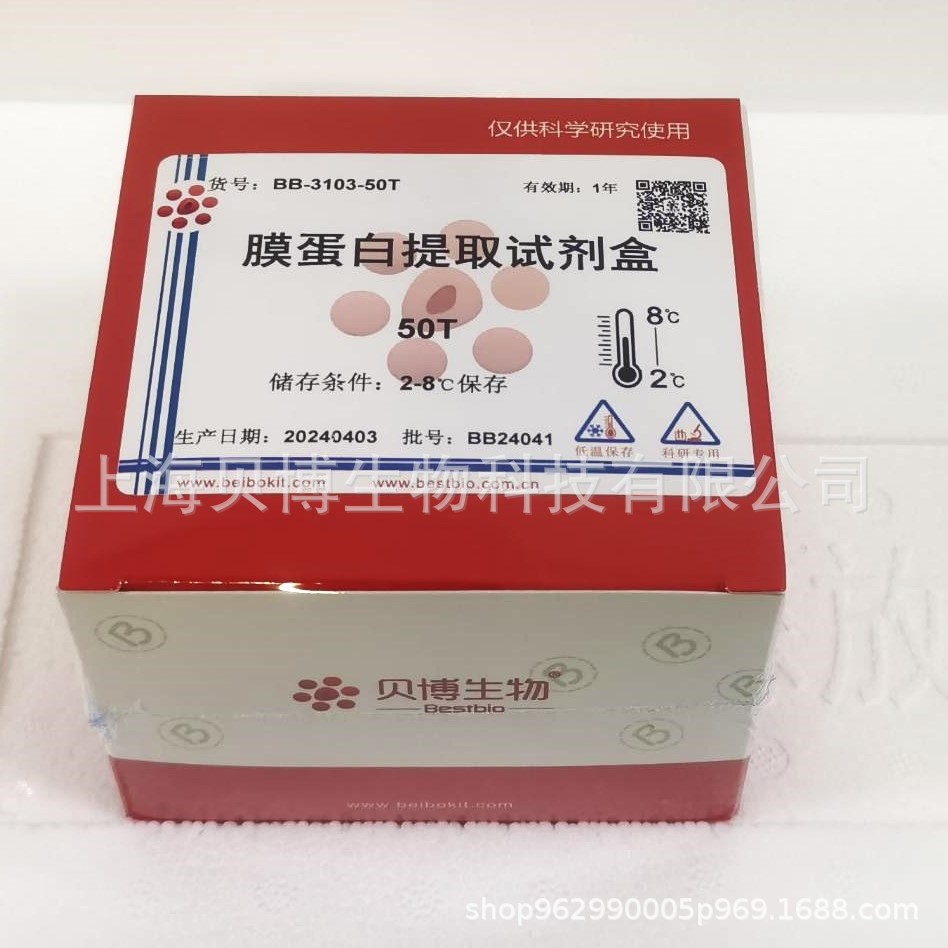 Bestbio贝博 固定细胞蛋白提取试剂盒 BB-31652 现货