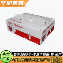 PP中空板箱 水果葡萄包装箱 华旭 出口品质 型号齐全