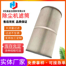 脉冲喷气式除尘器PPC-45除尘机滤筒六耳式快拆式聚酯纤维覆膜滤芯