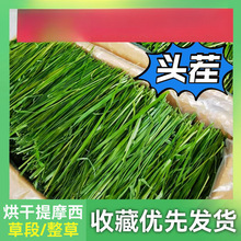 ӲĦɲݕɺ~iüZһlֱN