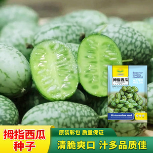 Ĵָ���ϷN�ӱ�Ƥ����С���������֭�ļ��̨�����߲�ˮ���N����