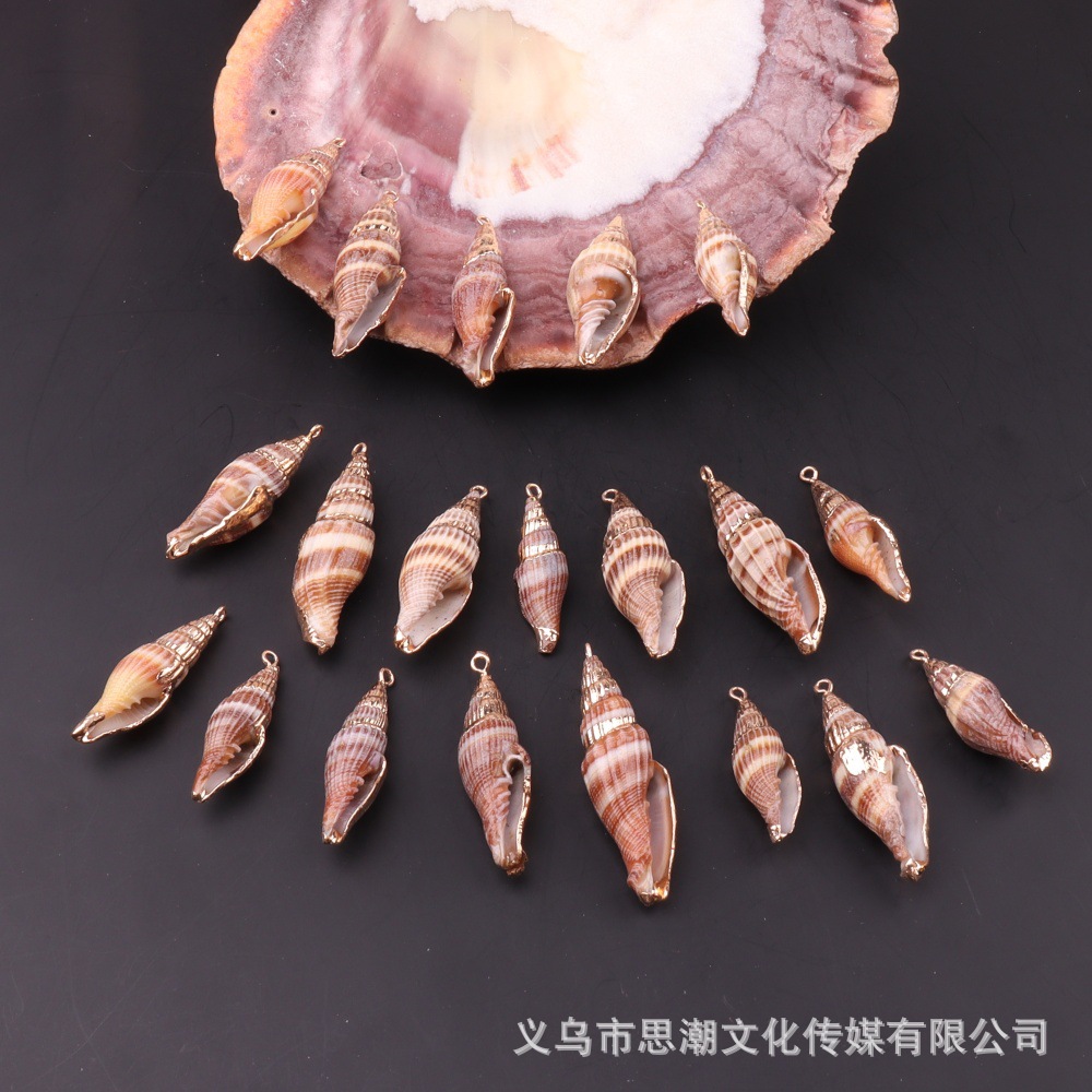 Gold-Plated Edges, Various Styles of Natural Shell Pendant Bracelets, Small Conch Semi-Finished DIY Accessory Materials