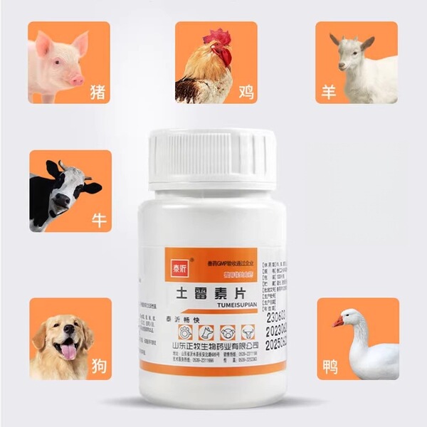 Veterinary oxytetracycline tablets for dogs