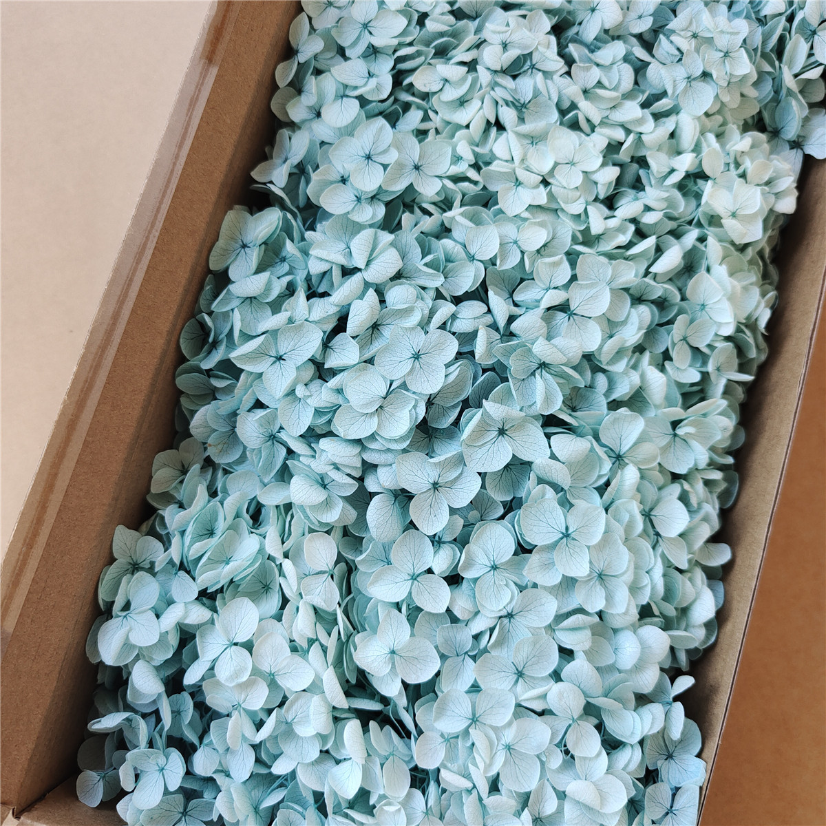 Flor eterna Hortensia Anna pequeña hoja flor seca flor real árbol de Navidad ventilador hecho a mano ramo DIY material paquete flor