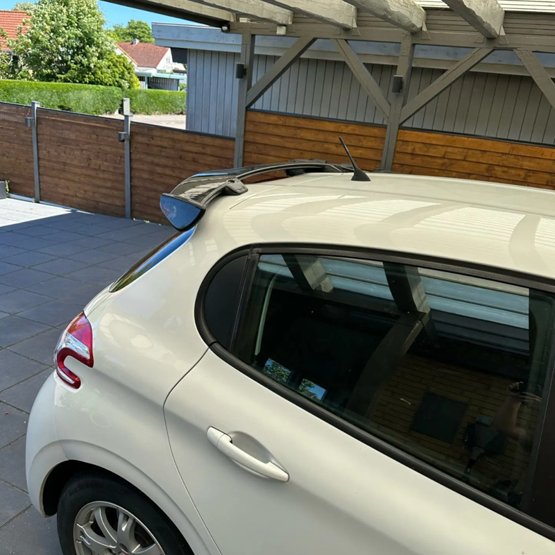 Suitable for Peugeot 206 207 208 Rear Wing Modification, Painted Decorative Sports-Style Rear Roof Spoiler