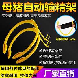 猪用自动输精夹母猪输精架精瓶支架猪背夹猪人工授精设备猪配种架