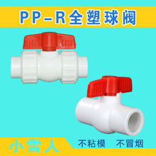 PPR全塑双活接球阀2025 4分6分阀门水管接头配件内螺纹球阀5063