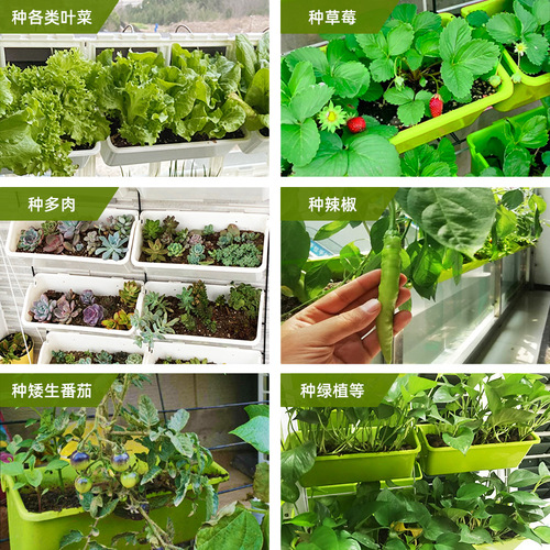 Forest box balcony vegetable pot strawberry multi-layer hanger home kindergarten school experience teaching combination set