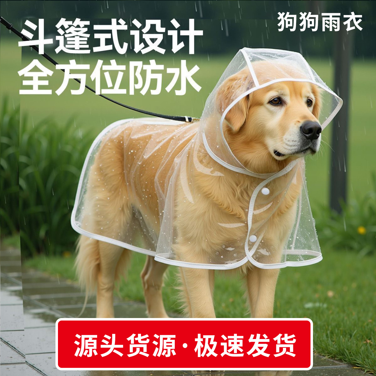 White edging [regular thickness] / Xs (back length 0-18cm)