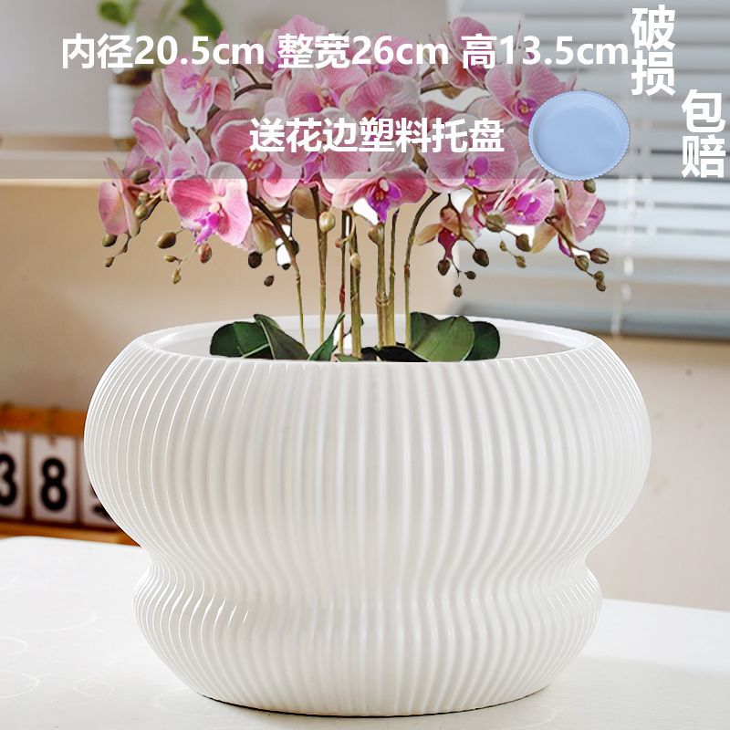 Large pure white cornucopia (comes with tray)