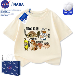 NASA�ҵĵ��ܹ��ļ��´̽�ӡ����ͯ����T����ֳ�����Ů��������