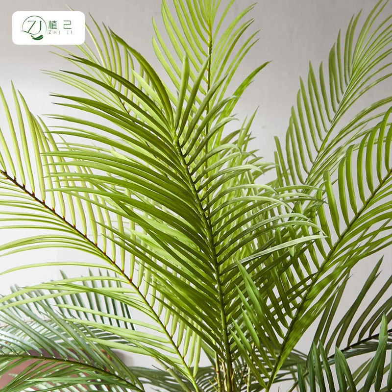 仿真针葵刺葵室内家居装饰植物摆件落地假树散尾葵盆栽造景刺葵|undefined