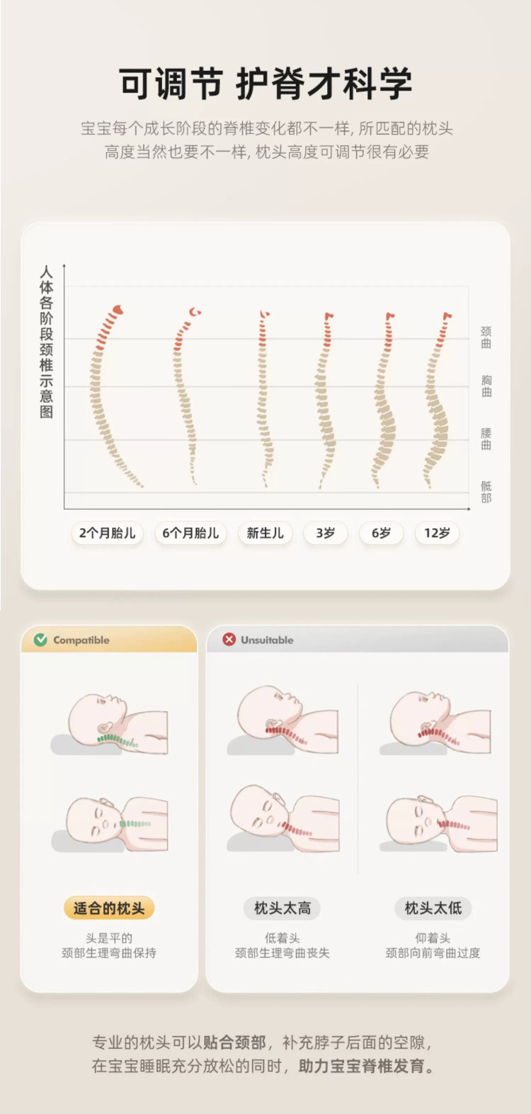 詳情_11