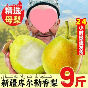 �����]���½��젖���������r����  ��Ƥ ��֭ �������l�����Ӯ���