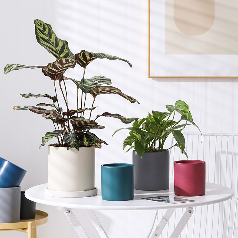 Taza de flores de cerámica personalizada simple contenedor de maceta moderna plantación verde orquídea mariposa carneosa maceta transfronteriza mayorista