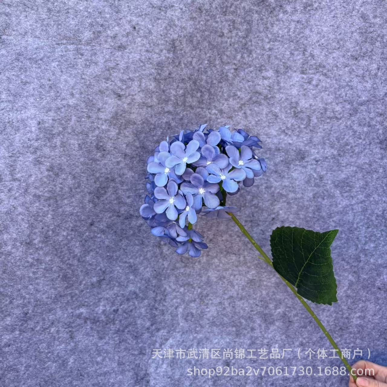 짙은 안개빛 블루