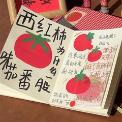 小紅書と同じ韓国風トマトチェック柄高価値A5白紙中ページノートニッチ学生大学院入試日記
