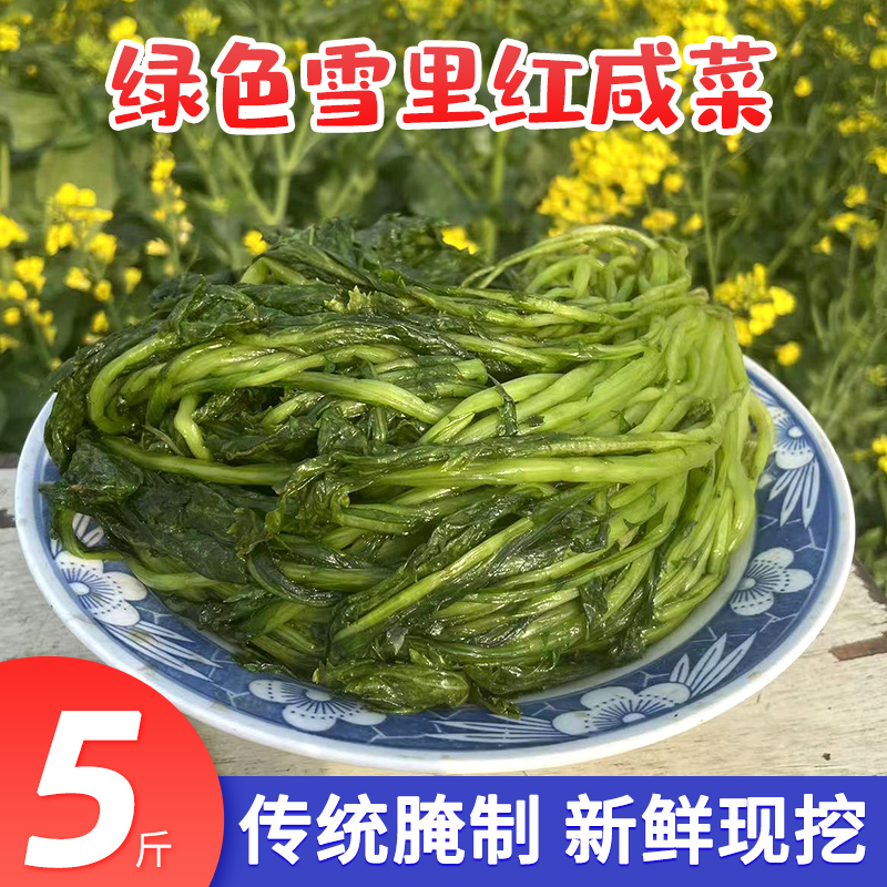 农家新鲜绿雪里红蕻雪菜咸菜宁波特产商用开味下饭菜腌开胃菜