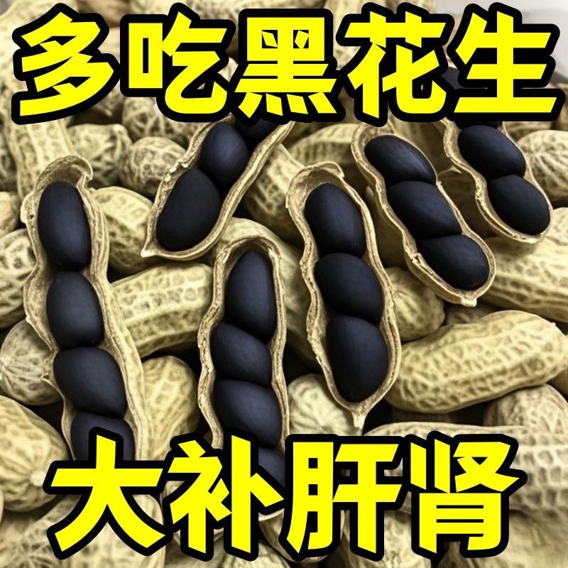 云南黑花生新鲜带壳大粒生黑花生皮薄清脆香甜晾干现挖生种籽新货