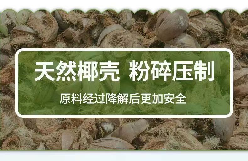 f32f23c0-7536-459a-880d-9e0fe32f8514.jpe