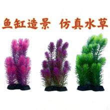 2026�¿��~���쾰�󺣲ݷ���ˮ��ˮ���䲼�����ϼٲ�ֲ���侰���Q