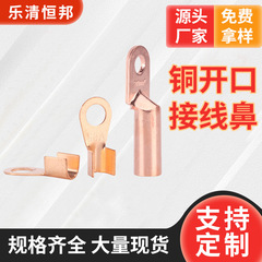 卸売銅ノーズ 国家規格DTOT電線 紫銅錫メッキ開口ノーズ端子 銅管ノーズ ケーブル銅接続部