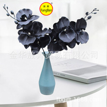 4�^�����m���������m��֧����ֲ���c�Ҿ��bٻ���֧��c�b�