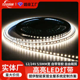 五轻智能灯控led灯条室内家装感应氛围灯12V低压高亮双色温灯带