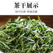 明前产地好茶清新绿茶醇厚耐泡品牌厂家罐装毛峰一件发货茶叶批发