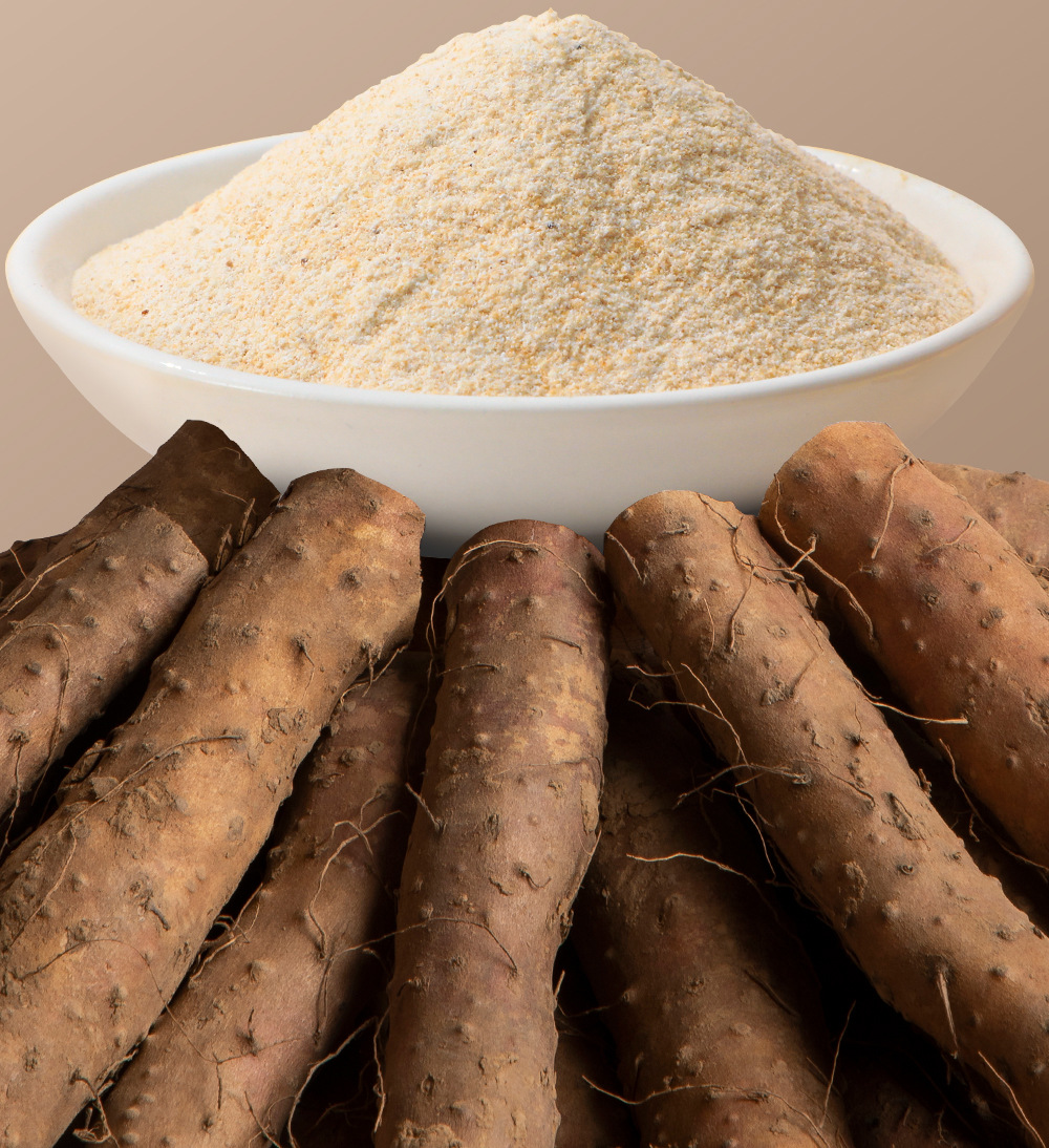 Iron Stick Yam Powder Huai Shan Yao Chinese Yam Instant Drink Powder 300g key features