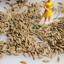 ��Ȼ500g�½����w��M�������ò�������{�ϴ�ȫ�����Ϲ��S���l