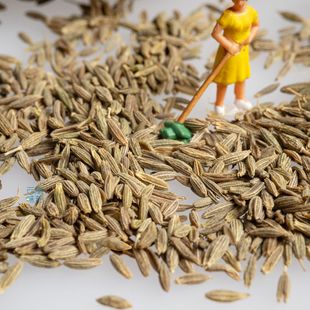 ��Ȼ500g�½����w��M�������ò�������{�ϴ�ȫ�����Ϲ��S���l