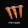 5 jellyfish feed