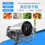 食物冻干机 果蔬野生蔬菜冷冻设备性能稳定操作简单 水果冻干机