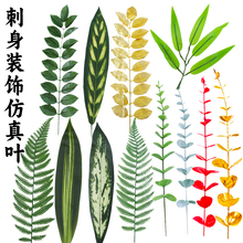 �Ƶ�[�P�b��ݴ����b[���ɱ����r�����b�֦��ľ�b��⾳