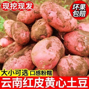 ����������r�F�ڼtƤ�S������10/3��С�����N�����r���ԷN���l
