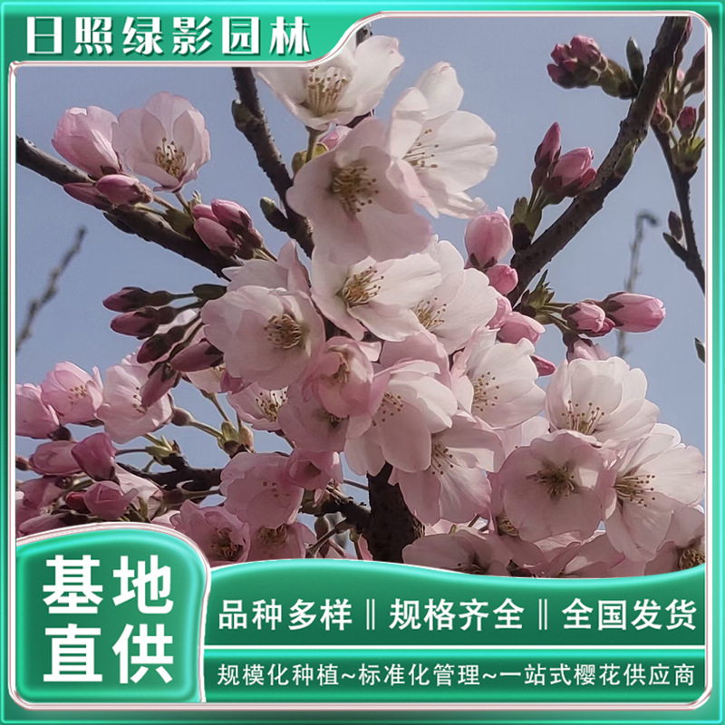 微信图片_20230818145609 副本.jpg