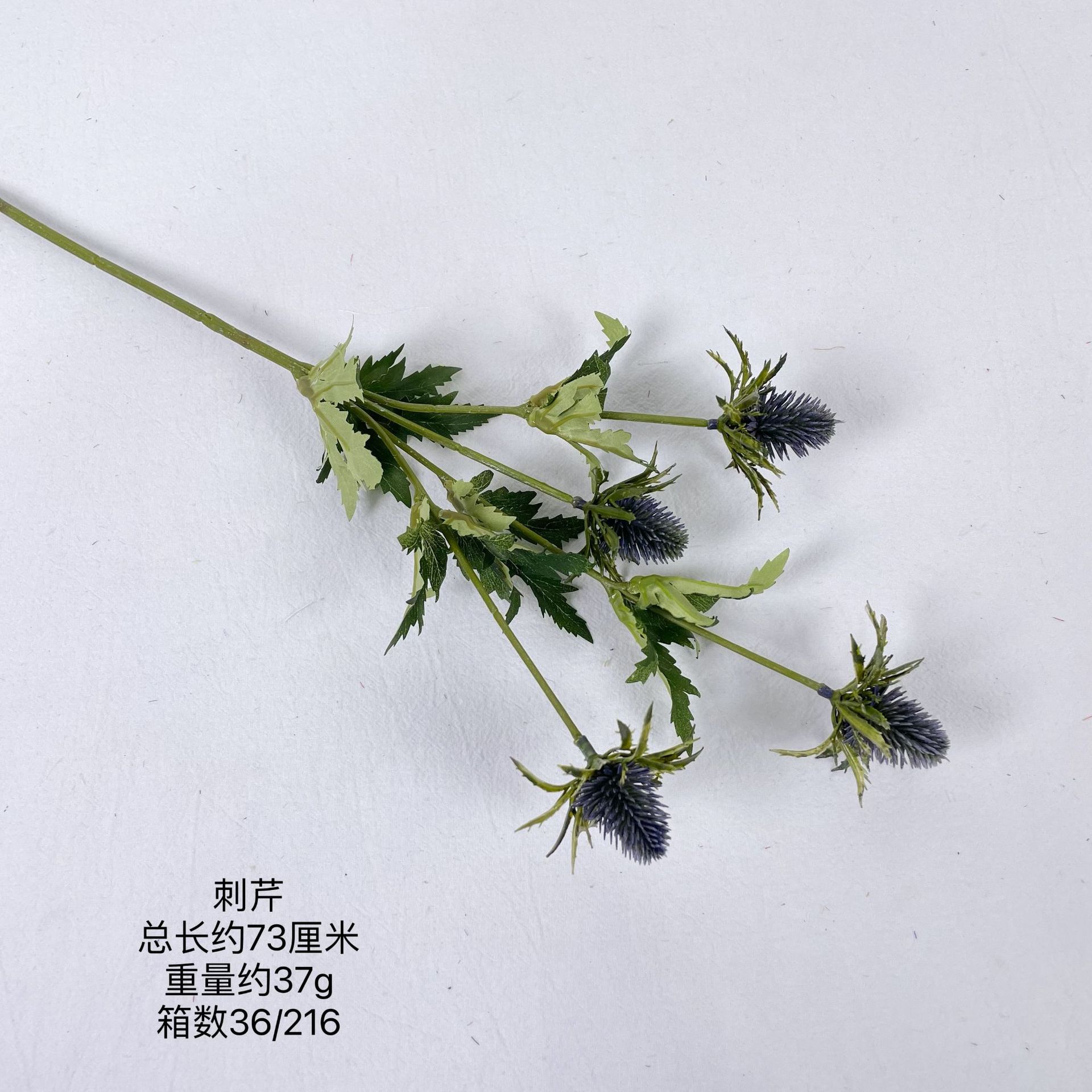 파슬리