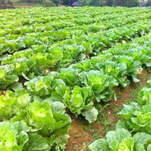 側ײ˰~oͥԺ̨߮aļ߲˷NӴȫ